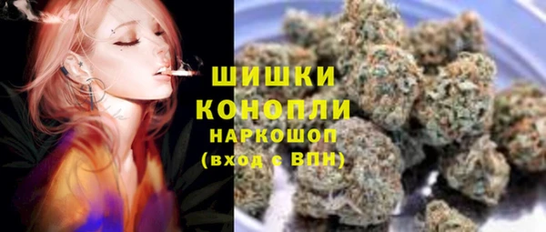 индика Алексеевка