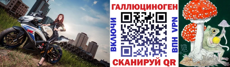 Псилоцибиновые грибы GOLDEN TEACHER  закладка  Нолинск 