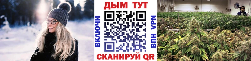 Каннабис Amnesia  Нолинск 